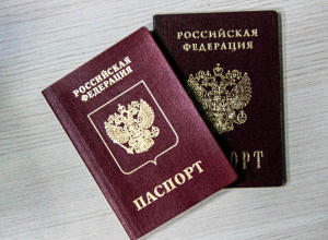 В День России Дмитрий Миляев вручит активистам «Движения первых» паспорта