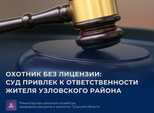 Житель Тульской области заплатит миллион за убитых косуль