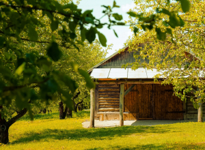 Тулякам рассказали, как догазифицировать дом в СНТ