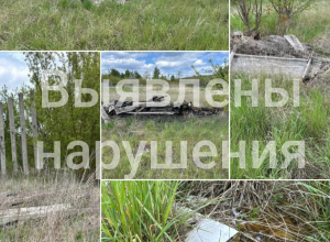 Свалка под детским лагерем: ефремовская прокуратура вмешалась после жалоб местных жителей