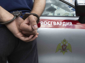 Под Тулой мигрант украл у знакомого ружье из сейфа