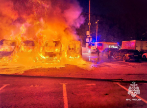 В Туле на парковке сгорели 11 автомобилей: полиция проводит проверку