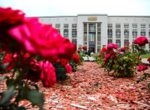 Тульский музей изобразительных искусств закрыт на ремонт: где теперь смотреть выставки