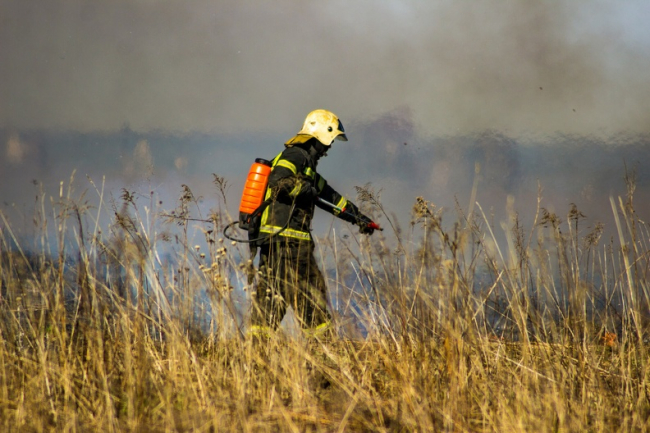 ÐÐ¾ÑÐ»Ðµ Ð»Ð¸Ð²Ð½ÐµÐ¹ Ð² Ð¢ÑÐ»ÑÑÐºÑÑ Ð¾Ð±Ð»Ð°ÑÑÑ Ð¿ÑÐ¸Ð´ÑÑ Ð»ÐµÑÐ½ÑÐµ Ð¿Ð¾Ð¶Ð°ÑÑ