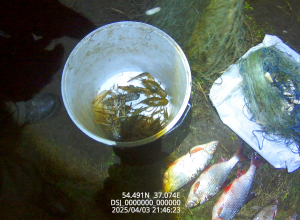 Воровали рыбу у государства — получили штраф: в Тульской области наказали браконьеров