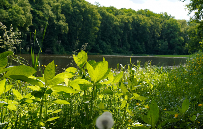 ÐÐ²Ð¾Ðµ ÑÑÐ»ÑÐºÐ¾Ð² Ð½ÐµÐ·Ð°ÐºÐ¾Ð½Ð½Ð¾ Ð»Ð¾Ð²Ð¸Ð»Ð¸ ÑÑÐ±Ñ ÑÐµÑÑÐ¼Ð¸