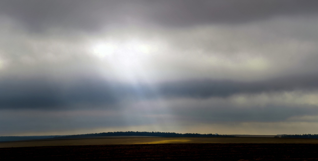 Ð Ð¢ÑÐ»ÑÑÐºÐ¾Ð¹ Ð¾Ð±Ð»Ð°ÑÑÐ¸ Ð¸Ð·ÑÑÐ»Ð¸ Ð²Ð¾ÑÐµÐ¼Ñ ÑÑÐ°ÑÑÐºÐ¾Ð², Ð¿Ð¾Ð¿Ð°Ð²ÑÐ¸Ñ Ð² ÑÐ¾Ð±ÑÑÐ²ÐµÐ½Ð½Ð¾ÑÑÑ Ð¼Ð¾ÑÐµÐ½Ð½Ð¸ÑÐµÑÐºÐ¸Ð¼ Ð¿ÑÑÐµÐ¼