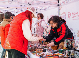 Число самозанятых в Тульской области выросло на 13 тысяч с начала года