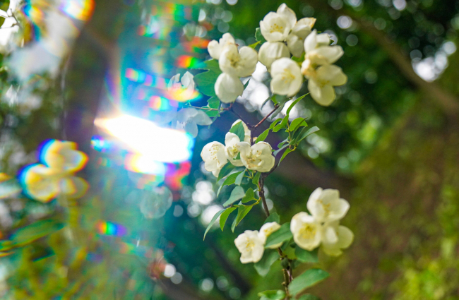 Ð Ð¢ÑÐ»ÑÑÐºÐ¾Ð¹ Ð¾Ð±Ð»Ð°ÑÑÐ¸ Ð¾Ð¶Ð¸Ð´Ð°ÐµÑÑÑ 35-Ð³ÑÐ°Ð´ÑÑÐ½Ð°Ñ Ð¶Ð°ÑÐ° Ð² Ð±Ð»Ð¸Ð¶Ð°Ð¹ÑÐ¸Ðµ Ð´Ð½Ð¸