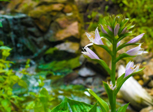 Туляков вновь предупредили об аномальной жаре на выходных