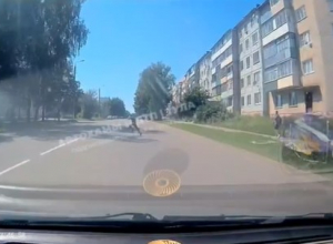 Под Тулой ребенок побежал прямо под колеса автомобиля. Видео