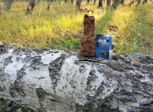 Под Тулой нашли снаряды времен Великой Отечественной войны