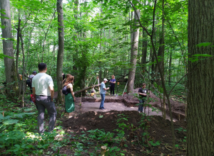 Древнее городище у тульской деревни: кто жил в поселении две тысячи лет назад