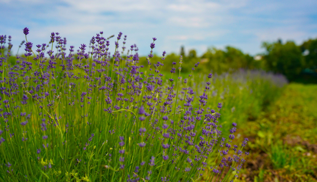 ÐÐ¸Ð»ÑÑÐ°Ð½Ð´ Ð·Ð°ÑÐ²Ð¸Ð», ÑÑÐ¾ Ð½Ðµ Ð²ÐµÑÐ¸Ñ Ð² Ð¼ÐµÑÐµÐ¾Ð·Ð°Ð²Ð¸ÑÐ¸Ð¼Ð¾ÑÑÑ