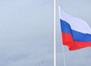 Игрушки по ГОСТу, маркировка колбас и «антиспам»: как изменится жизнь туляков с 1 августа