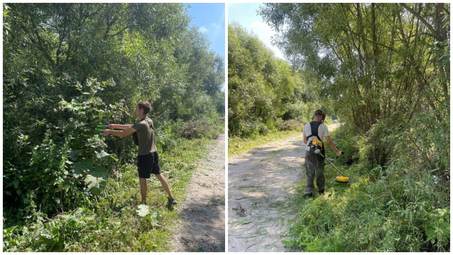 Ð Ð¯ÑÐ½Ð¾Ð³Ð¾ÑÑÐºÐµ Ð½Ð° ÑÐ». ÐÐ¾Ð»Ð¾Ð´ÐµÐ¶Ð½Ð¾Ð¹ Ð¾Ð±ÑÐµÐ·Ð°Ð»Ð¸ ÐºÑÑÑÑ Ð¸ Ð¿Ð¾ÐºÐ¾ÑÐ¸Ð»Ð¸ ÑÑÐ°Ð²Ñ