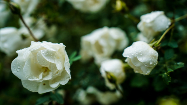 ÐÐ¾ÑÐ»Ðµ Ð¸Ð·Ð½ÑÑÑÑÑÐµÐ¹ Ð¶Ð°ÑÑ Ð² Ð¦ÐµÐ½ÑÑÐ°Ð»ÑÐ½ÑÑ Ð Ð¾ÑÑÐ¸Ñ Ð½ÐµÐ½Ð°Ð´Ð¾Ð»Ð³Ð¾ Ð²ÐµÑÐ½ÐµÑÑÑ Ð¿ÑÐ¾ÑÐ»Ð°Ð´Ð°