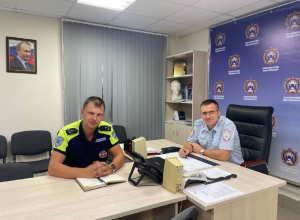 В Тульской области лошадь по кличке Юджина металась между потоками машин