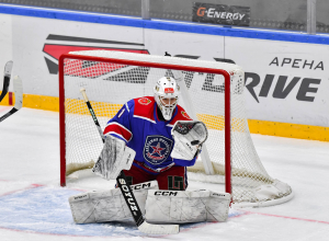 Тульская «Академия Михайлова» разгромила «Сибирских Снайперов»