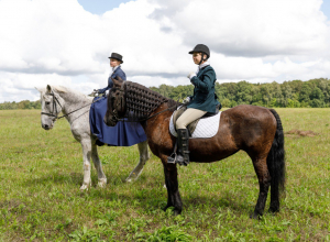 Блюда из дичи, дамы в шляпках и всадники с борзыми: под Тулой пройдет третий охотничий фестиваль