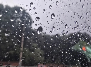 Сильный дождь, гроза и ветер: в Тульской области объявлено штормовое предупреждение