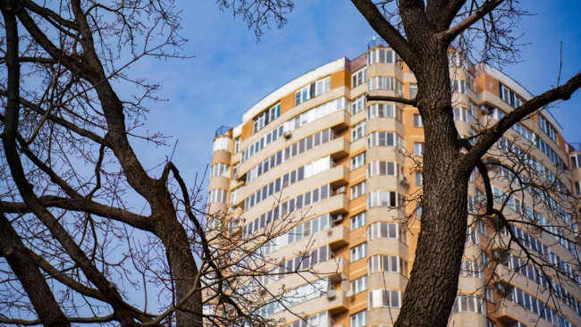 Ð Ð¢ÑÐ»ÑÑÐºÐ¾Ð¹ Ð¾Ð±Ð»Ð°ÑÑÐ¸ Ð½Ð°ÑÐ»Ð¸ Ð½Ð°ÑÑÑÐµÐ½Ð¸Ñ Ð¿ÑÐ¸ Ð·Ð°ÐºÑÐ¿ÐºÐµ ÐºÐ²Ð°ÑÑÐ¸Ñ Ð´Ð»Ñ ÑÐ°ÑÑÐµÐ»ÐµÐ½Ð¸Ñ