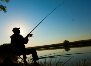 Тулякам запретят ловить щуку и воблу: в чем причина