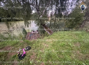 В Тульской области пропавшего четырехлетнего мальчика нашли мертвым в пруду