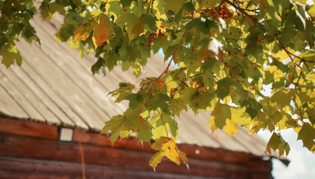 ÐÐµÑÐ¾ Ð±ÑÐ´ÐµÑ Ð¿ÑÐ¾Ð´Ð¾Ð»Ð¶Ð°ÑÑÑÑ? Ð¡Ð¸Ð½Ð¾Ð¿ÑÐ¸Ðº ÑÐ°ÑÑÐºÐ°Ð·Ð°Ð» Ð¾ Ð¿Ð¾Ð³Ð¾Ð´Ðµ Ð² ÑÐµÐ½ÑÑÐ±ÑÐµ