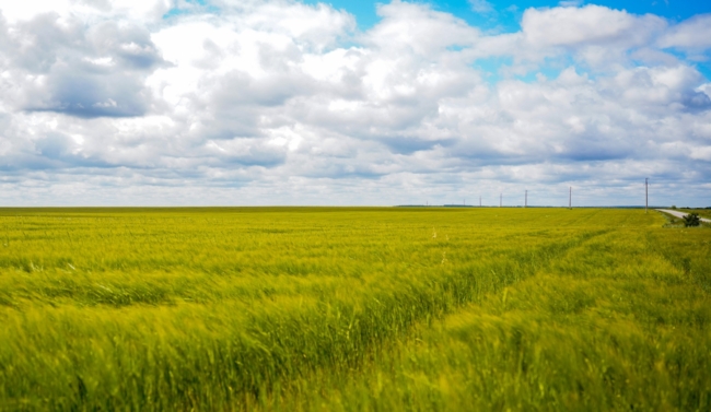 ÐÐµÐ½Ñ Ð¢ÑÐ»ÑÑÐºÐ¾Ð³Ð¾ Ð¿Ð¾Ð»Ñ ÑÐ¾ÑÑÐ¾Ð¸ÑÑÑ 22 Ð°Ð²Ð³ÑÑÑÐ°