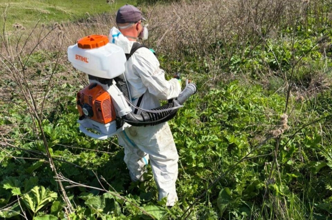 Ð Ð¢ÑÐ»Ðµ ÑÑÐµÐ½ÑÐµ Ð¿ÑÐµÐ´Ð»Ð¾Ð¶Ð°Ñ Ð²Ð°ÑÐ¸Ð°Ð½ÑÑ Ð±Ð¾ÑÑÐ±Ñ Ñ Ð±Ð¾ÑÑÐµÐ²Ð¸ÐºÐ¾Ð¼ Ð¸ Ð¸ÑÐ¿Ð¾Ð»ÑÐ·Ð¾Ð²Ð°Ð½Ð¸Ñ Ð´ÑÐ¾Ð½Ð¾Ð² Ð² ÑÐµÐ»ÑÑÐºÐ¾Ð¼ ÑÐ¾Ð·ÑÐ¹ÑÑÐ²Ðµ