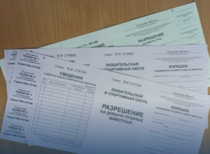 Туляки после сбоя системы снова могут получить разрешения на добычу пушных животных