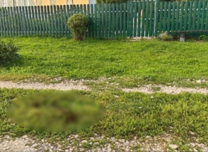 В Веневском районе подросток на полном ходу рухнул с квадроцикла