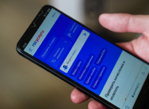 По каким вопросам туляки обращались на платформу обратной связи