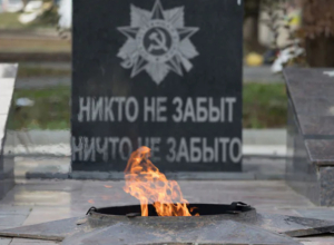 В Туле вандал хотел сломать решетку у Вечного огня