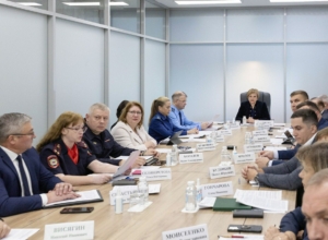 В Тульской области усилят профилактику подростковой преступности и работу с родителями