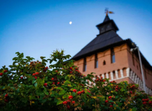 Каждый второй туляк — против госслужбы для вернувшихся релокантов