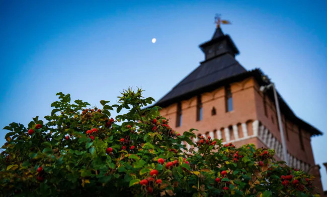 ÐÐ°Ð¶Ð´ÑÐ¹ Ð²ÑÐ¾ÑÐ¾Ð¹ ÑÑÐ»ÑÐº â Ð¿ÑÐ¾ÑÐ¸Ð² Ð³Ð¾ÑÑÐ»ÑÐ¶Ð±Ñ Ð´Ð»Ñ Ð²ÐµÑÐ½ÑÐ²ÑÐ¸ÑÑÑ ÑÐµÐ»Ð¾ÐºÐ°Ð½ÑÐ¾Ð²