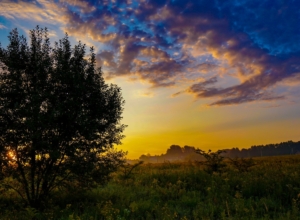 До осени — один рассвет. Фоторепортаж последнего в этом году летнего утра в Туле
