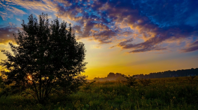 ÐÐ¾ Ð¾ÑÐµÐ½Ð¸ â Ð¾Ð´Ð¸Ð½ ÑÐ°ÑÑÐ²ÐµÑ. Ð¤Ð¾ÑÐ¾ÑÐµÐ¿Ð¾ÑÑÐ°Ð¶ Ð¿Ð¾ÑÐ»ÐµÐ´Ð½ÐµÐ³Ð¾ Ð² ÑÑÐ¾Ð¼ Ð³Ð¾Ð´Ñ Ð»ÐµÑÐ½ÐµÐ³Ð¾ ÑÑÑÐ° Ð² Ð¢ÑÐ»Ðµ
