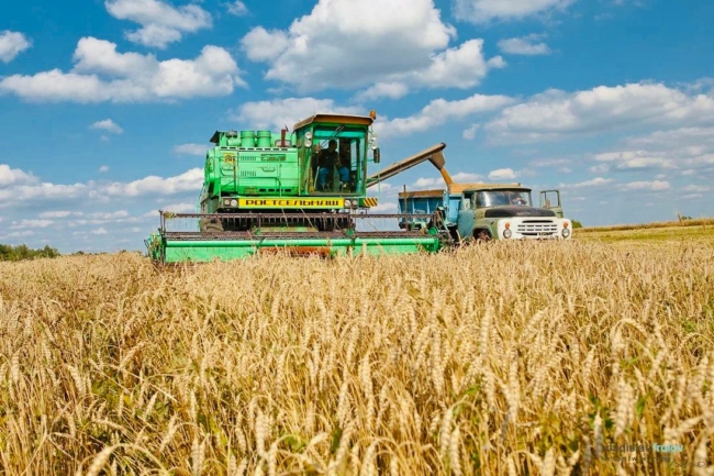 Ð Ð¢ÑÐ»ÑÑÐºÐ¾Ð¹ Ð¾Ð±Ð»Ð°ÑÑÐ¸ Ð½Ð°Ð¼Ð¾Ð»Ð¾ÑÐ¸Ð»Ð¸ Ð¿Ð¾Ð»ÑÐ¾ÑÐ° Ð¼Ð¸Ð»Ð»Ð¸Ð¾Ð½Ð° ÑÐ¾Ð½Ð½ Ð·ÐµÑÐ½Ð°