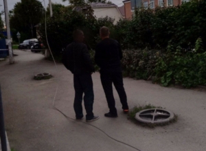 Опиловка деревьев в Болохове закончилась травмой местной жительницы