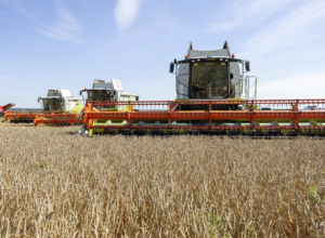 В Тульской области фермер организовал пастбище на своих землях после проверки Россельхознадзора