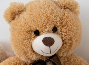 В Арсеньеве мужчина украл 640 тысяч рублей и промотал их на мишку, цветы и алкоголь