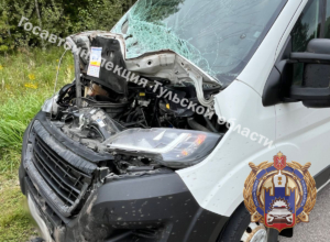 Под Тулой водитель Peugeot сбил лося