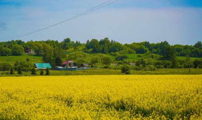 Ð ÐÐ¸Ð¿ÐºÐ°Ñ Ð¿Ð¾Ð´ Ð¢ÑÐ»Ð¾Ð¹ Ð½Ð°ÑÐ½ÑÑ Ð·Ð°ÑÑÑÐ°Ð¸Ð²Ð°ÑÑ Ð¿ÑÑÑÑÐµ ÑÑÐ°ÑÑÐºÐ¸