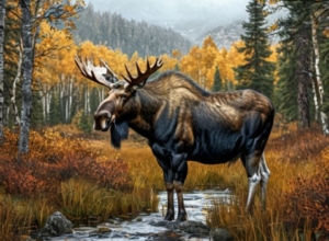 Водители заплатят больше 9 млн рублей за сбитых в Тульской области животных