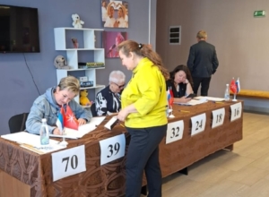На осенних выборах в Тульской области проголосовало более четверти избирателей