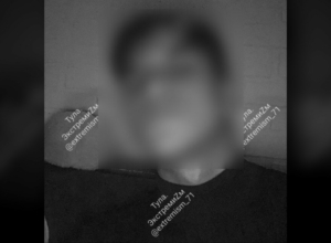 В Тульской области два цыгана вели экстремистский канал про воровскую жизнь