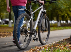 Стало известно, сколько деревьев и кустарников высадят вдоль веломаршрута «Лев Толстой»